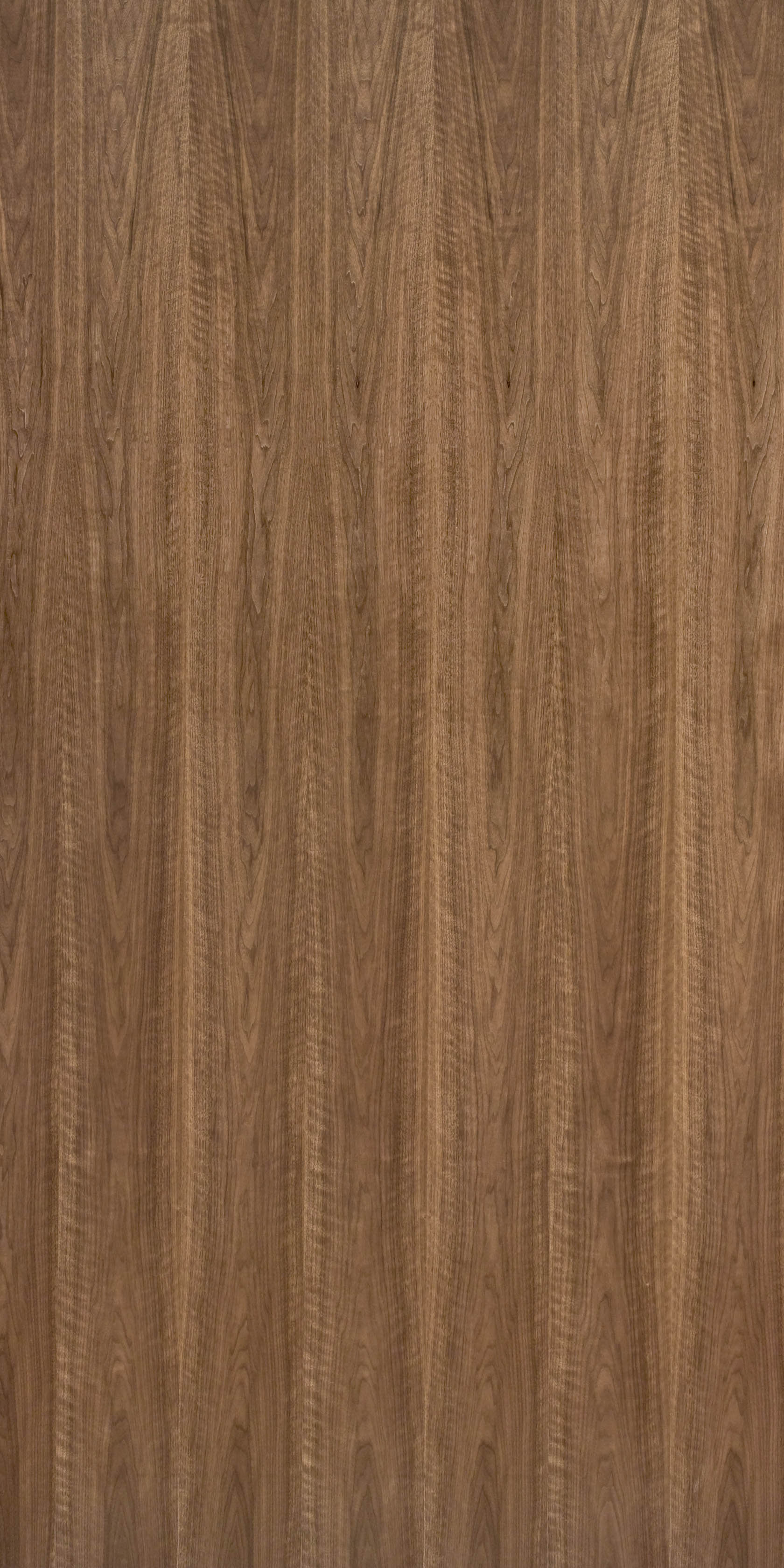 Etimoe Walnut wood composite veneer 5 x 8 with thin fleece back